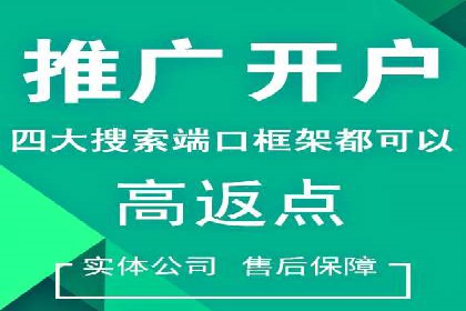 案例分析：SEM优化师如何优化广告投放策略
